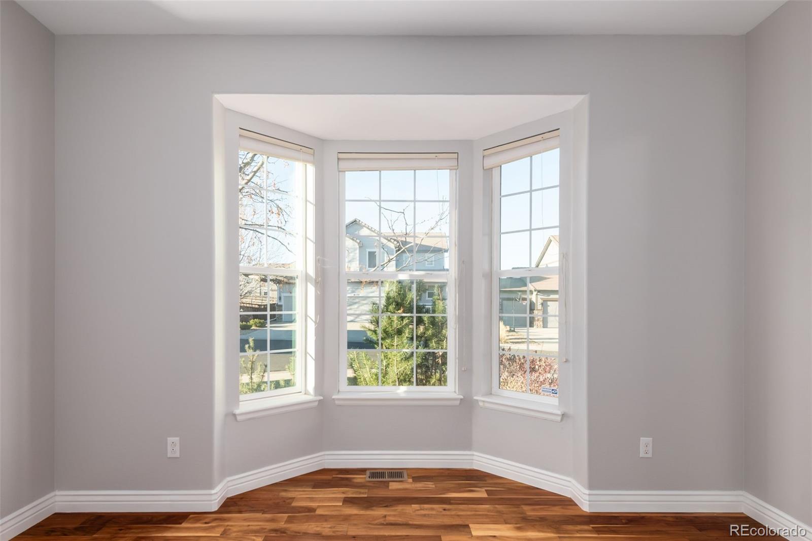 MLS Image #30 for 8172  el jebel loop,castle rock, Colorado
