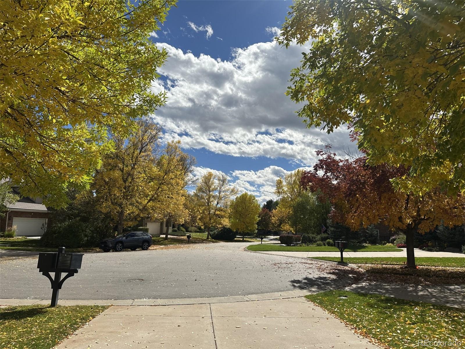 MLS Image #2 for 69  blue heron lane,greenwood village, Colorado