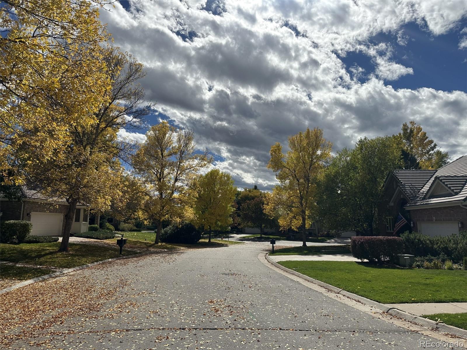 MLS Image #49 for 69  blue heron lane,greenwood village, Colorado