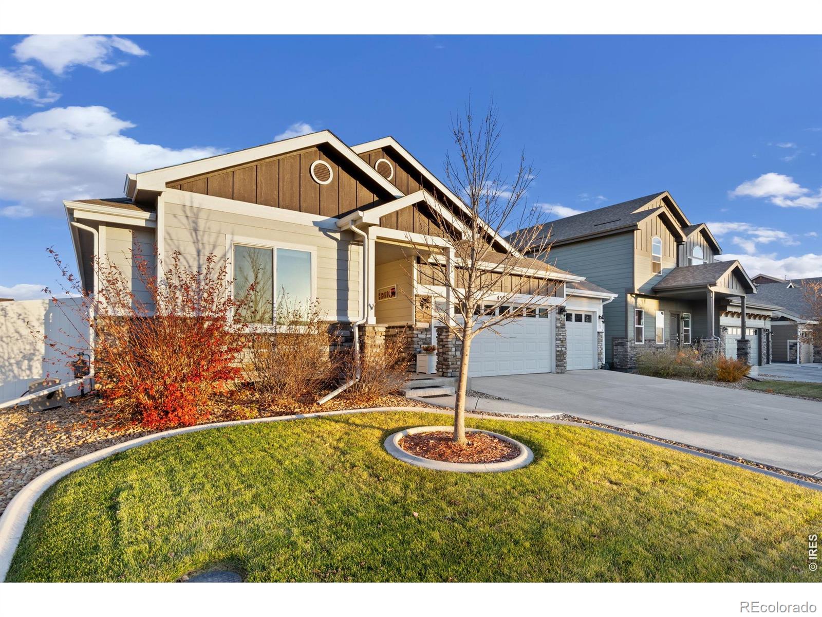 MLS Image #5 for 4503  waltham drive,windsor, Colorado