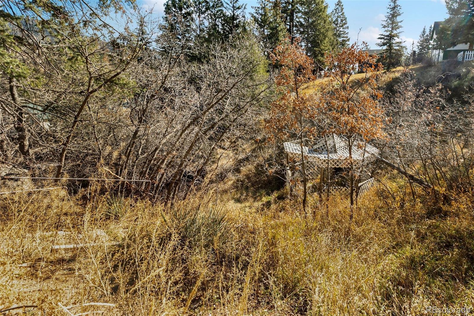 MLS Image #29 for 6885  colorado street,green mountain falls, Colorado