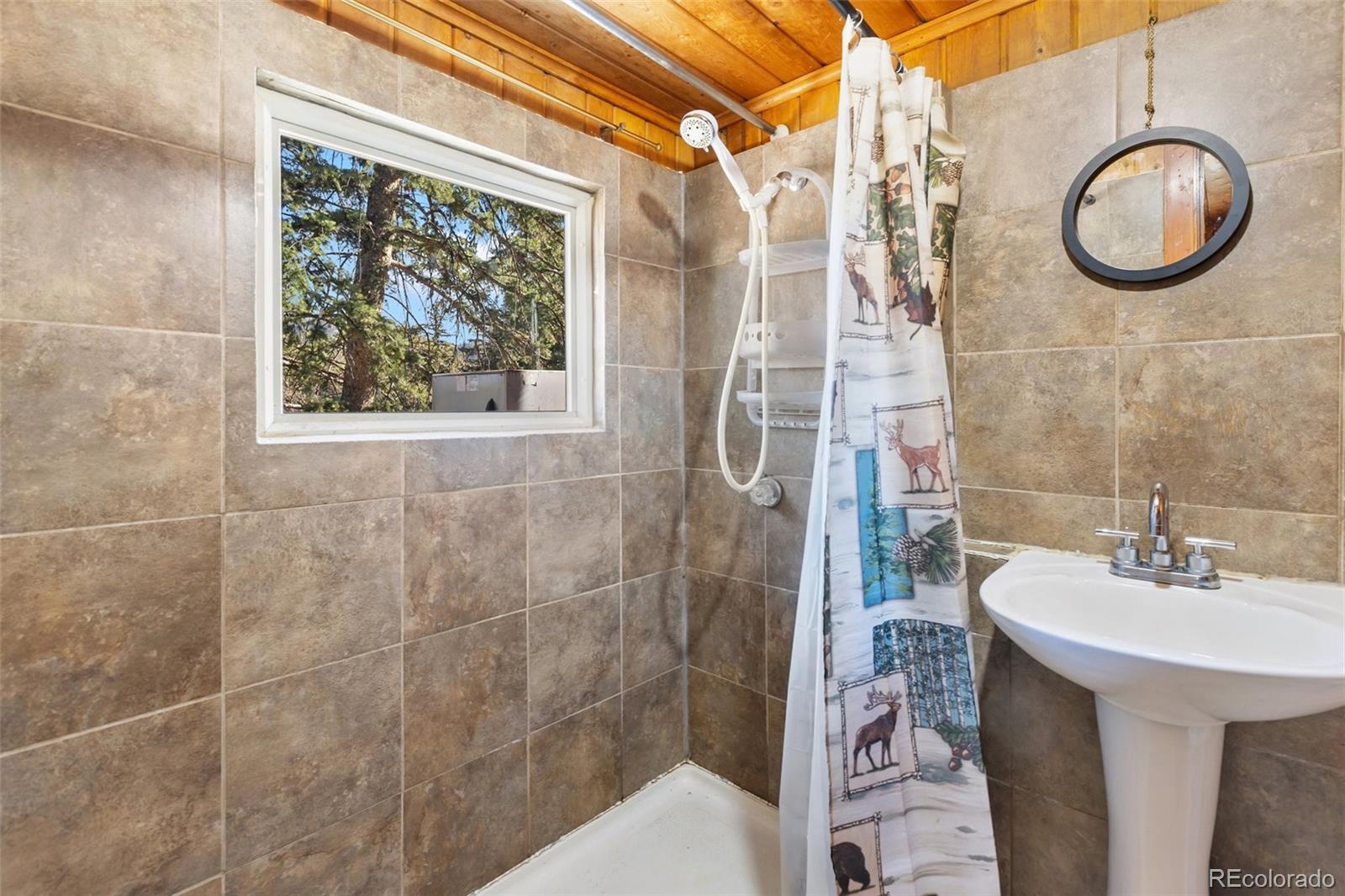 MLS Image #6 for 6885  colorado street,green mountain falls, Colorado