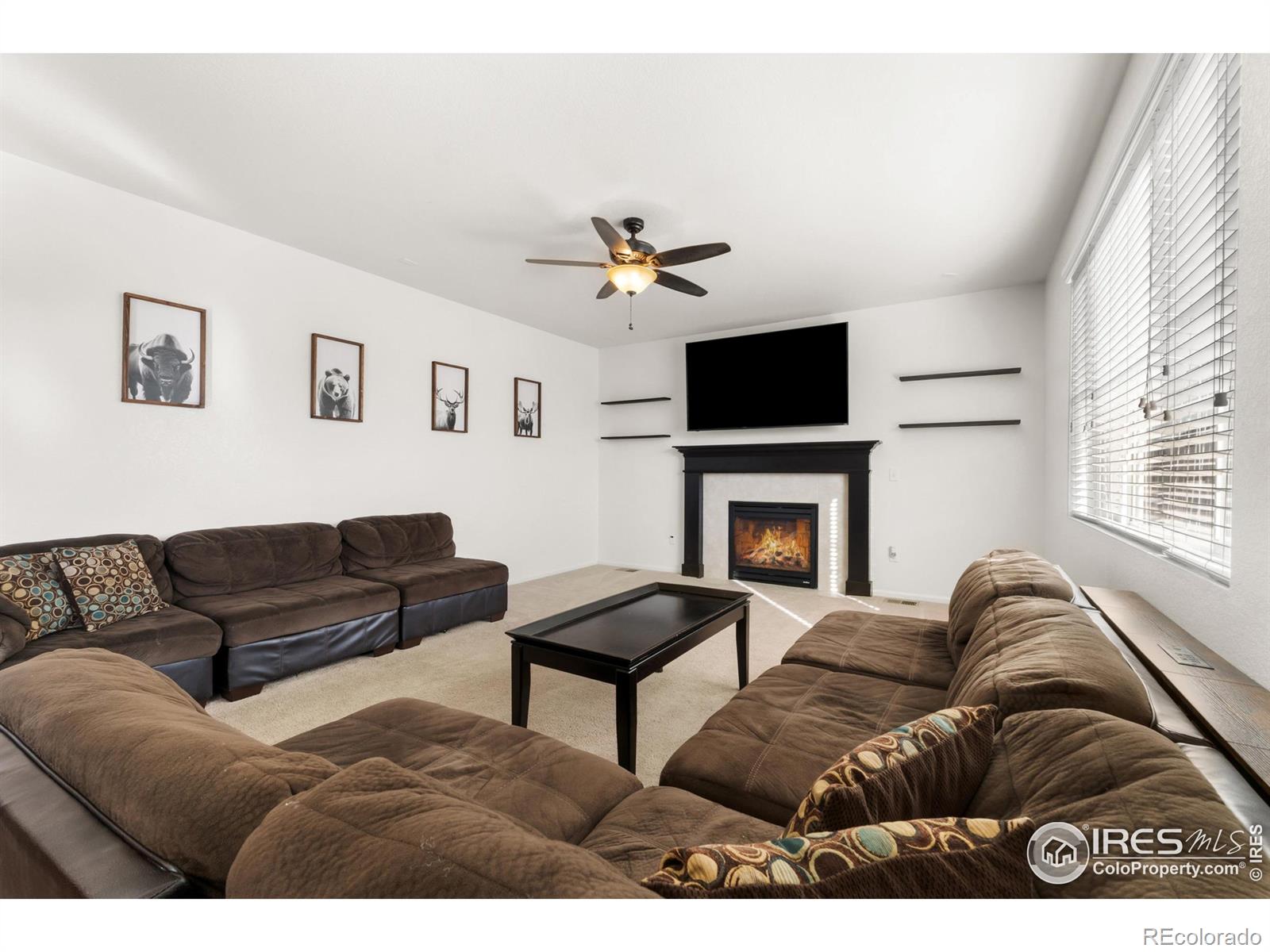 MLS Image #14 for 1128  103rd avenue,greeley, Colorado