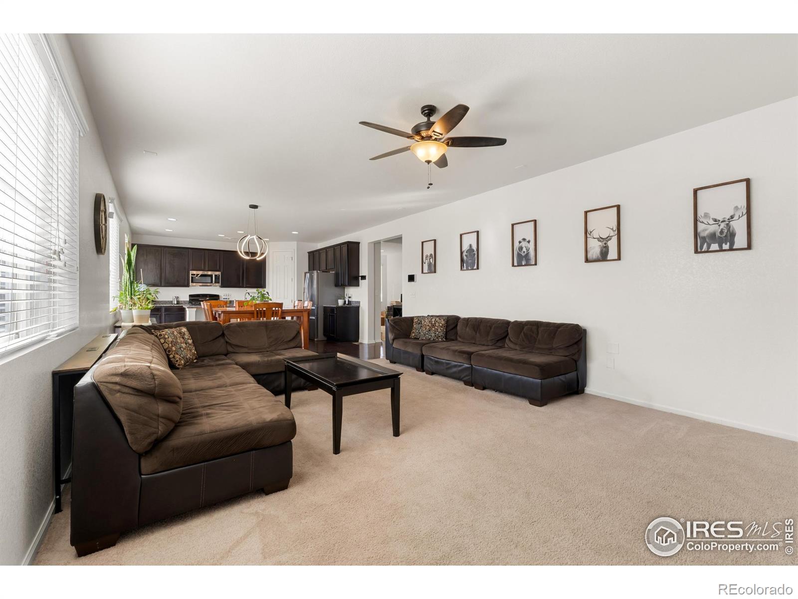 MLS Image #16 for 1128  103rd avenue,greeley, Colorado