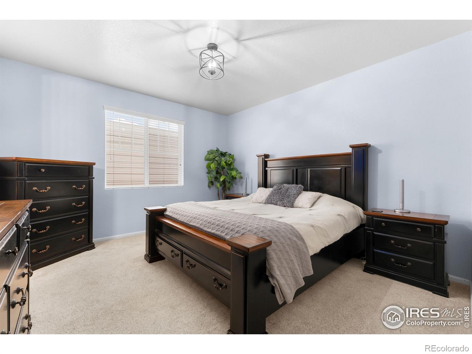 MLS Image #6 for 1128  103rd avenue,greeley, Colorado