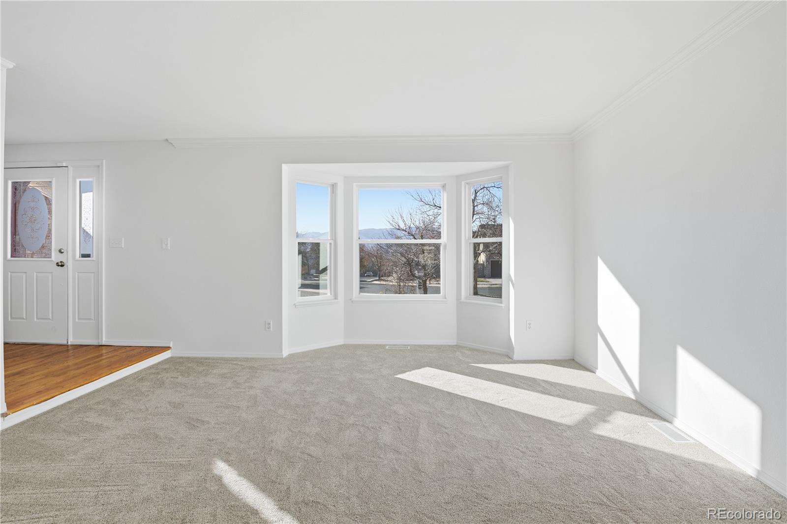 MLS Image #10 for 2281  havenridge drive,colorado springs, Colorado