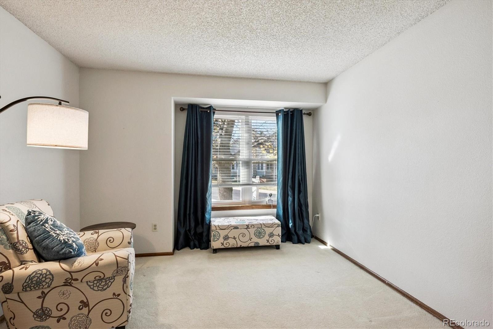 MLS Image #11 for 7  dunbarton court,highlands ranch, Colorado