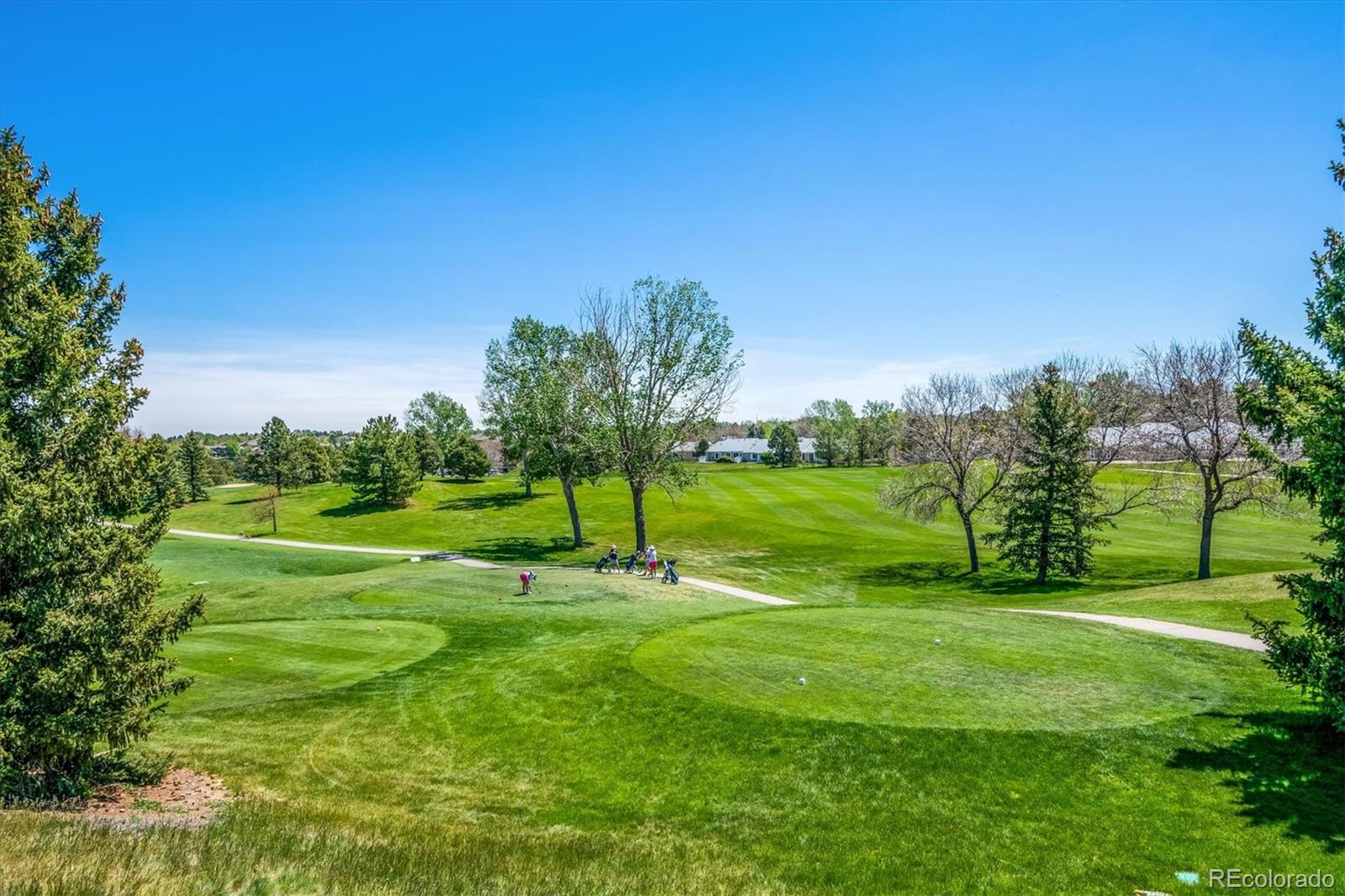 MLS Image #27 for 7  dunbarton court,highlands ranch, Colorado