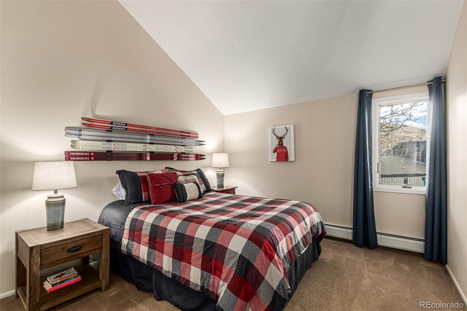 MLS Image #15 for 903 n frontage road,vail, Colorado