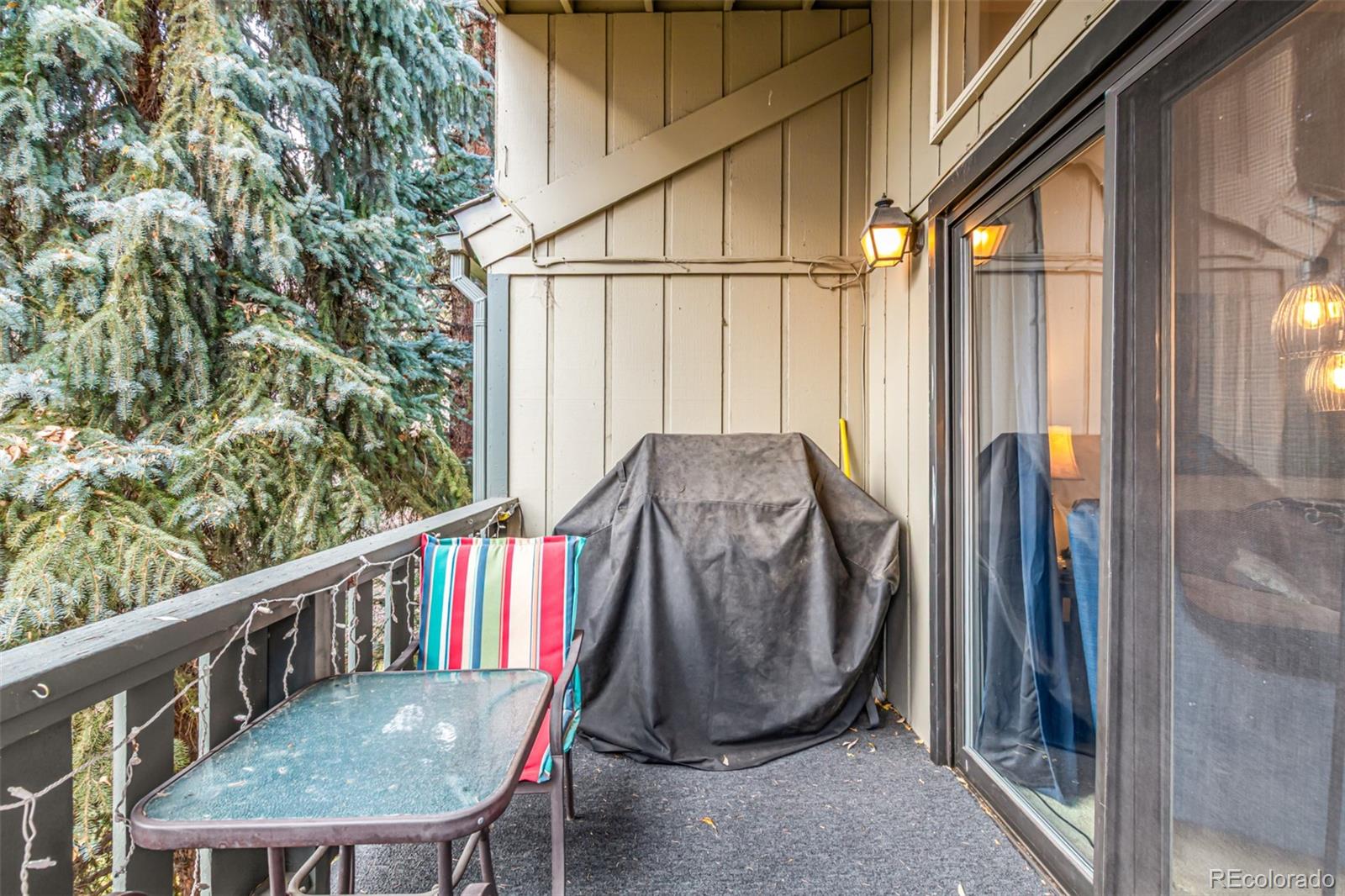 MLS Image #20 for 903 n frontage road,vail, Colorado