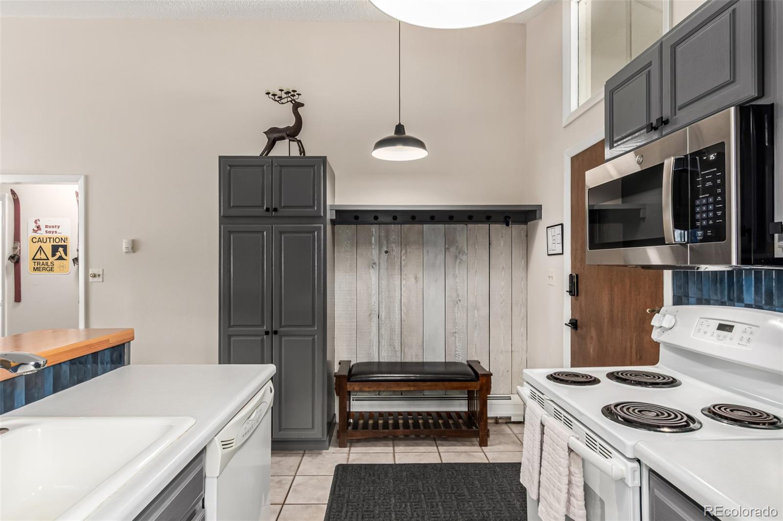 MLS Image #7 for 903 n frontage road,vail, Colorado