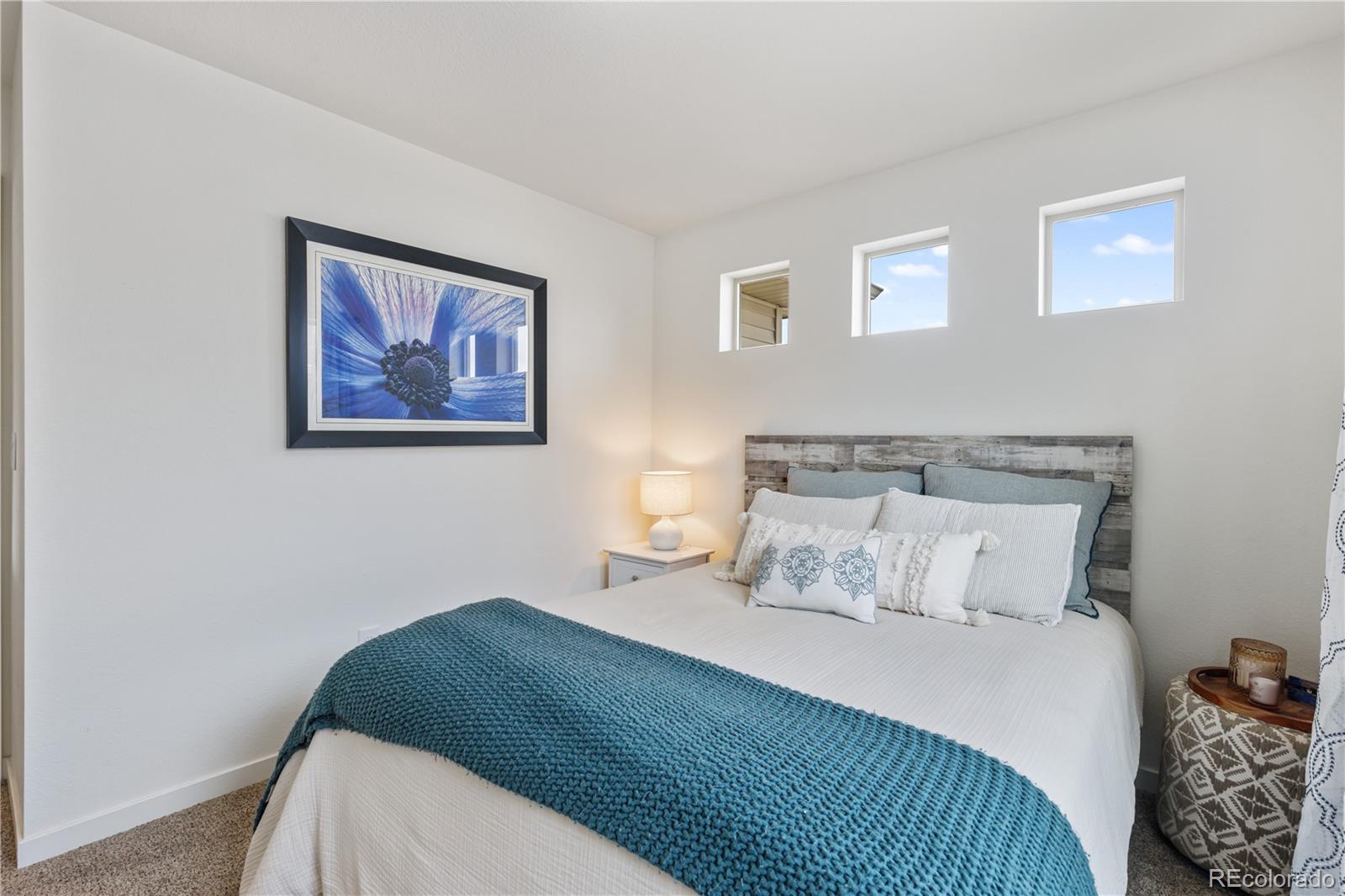 MLS Image #41 for 3133  hardin street,castle rock, Colorado