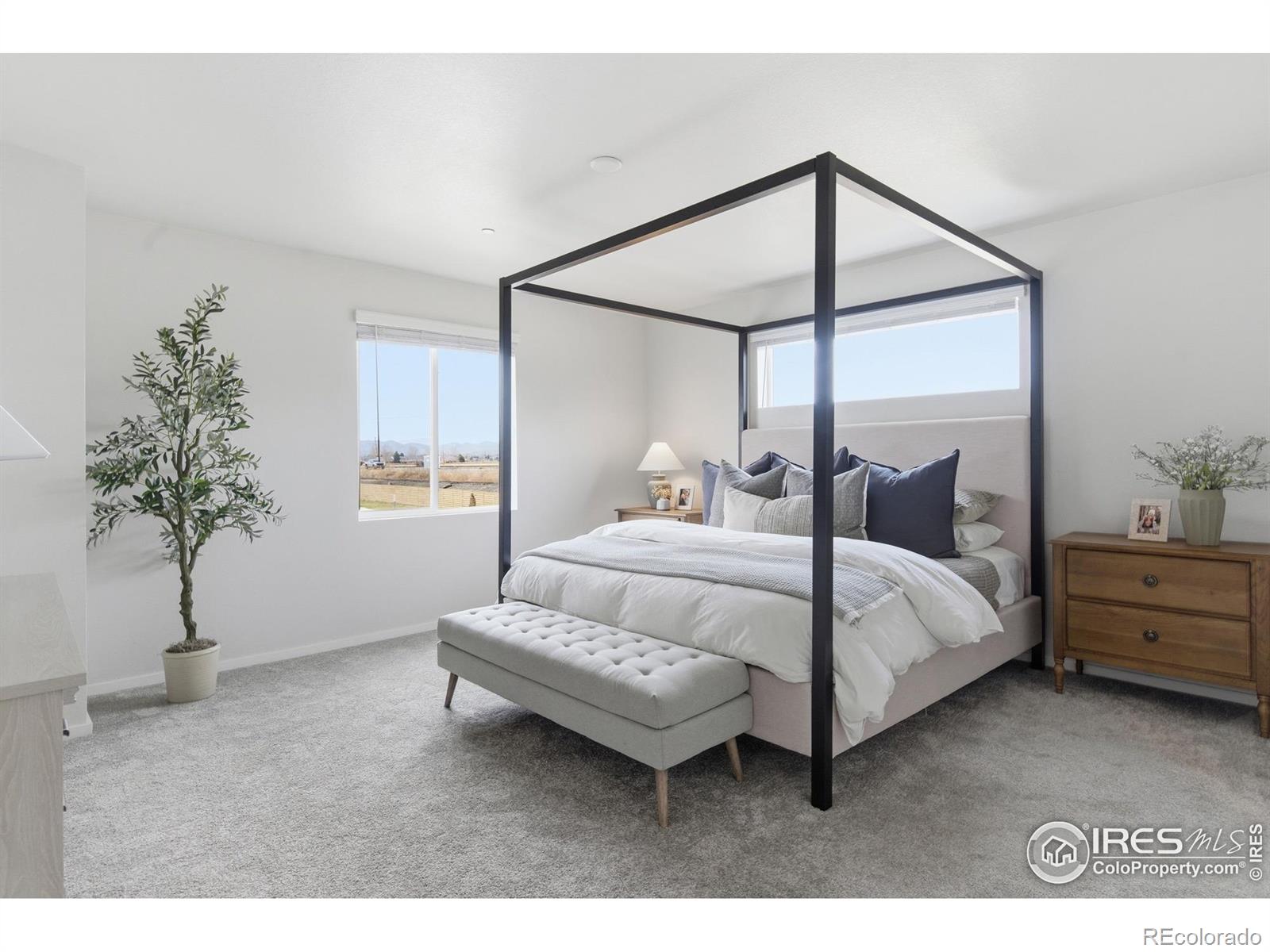 MLS Image #14 for 2938  barnstormer street,fort collins, Colorado
