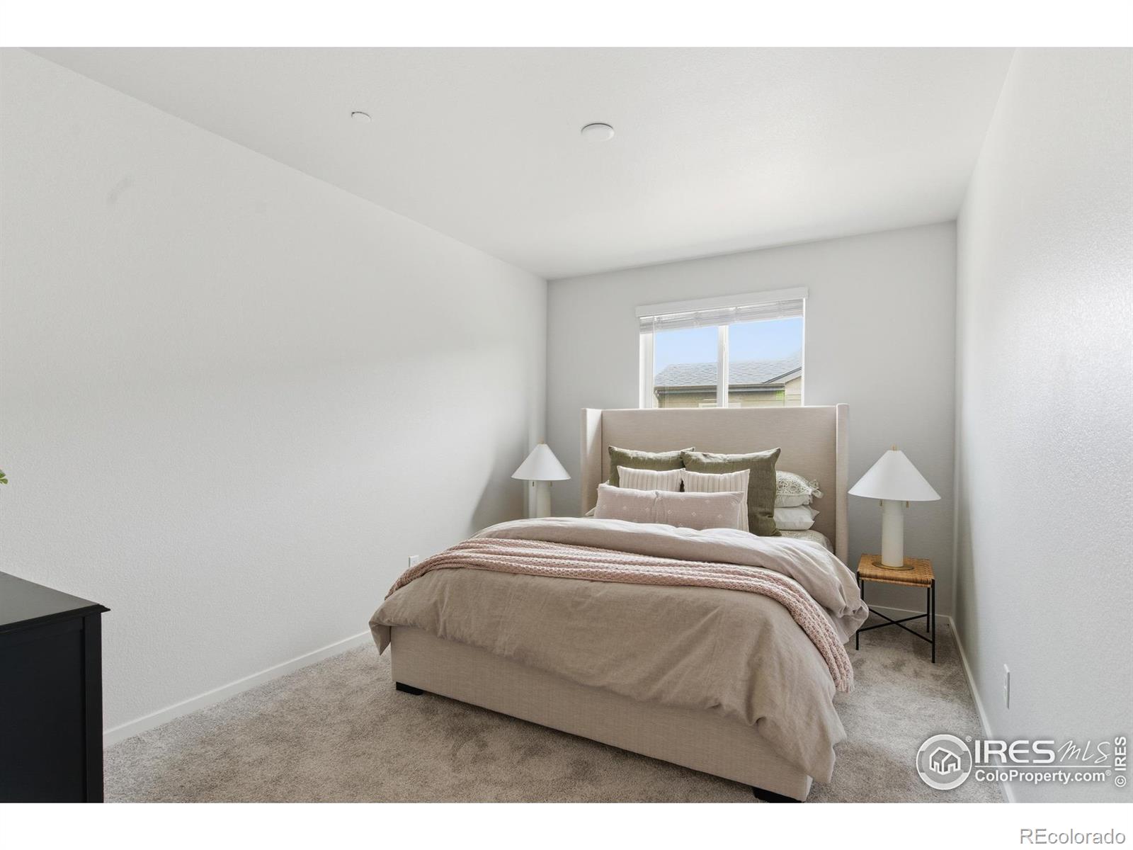 MLS Image #18 for 2938  barnstormer street,fort collins, Colorado