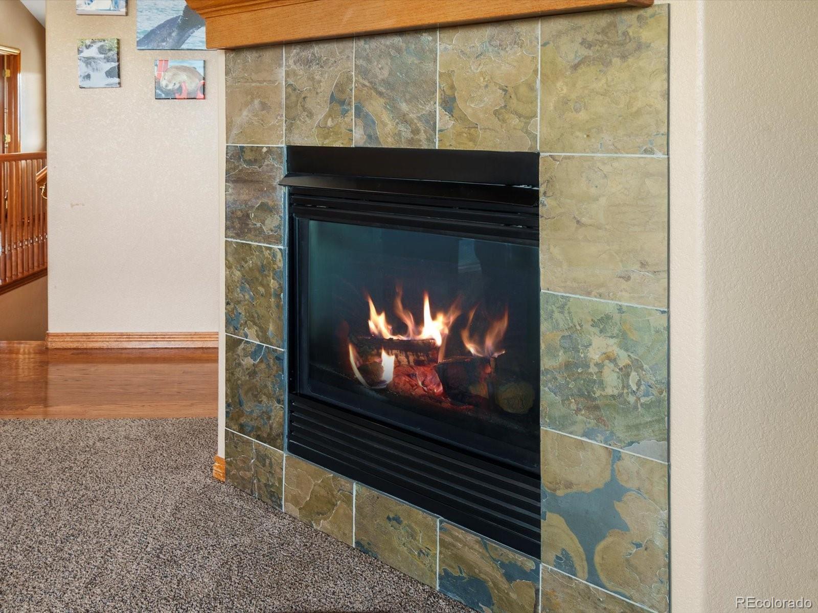 MLS Image #9 for 34827 e 7th avenue,watkins, Colorado