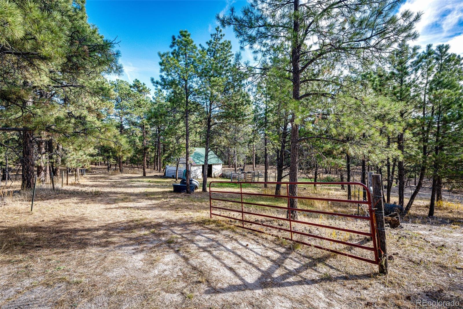 MLS Image #44 for 6412  county road 82 ,elbert, Colorado
