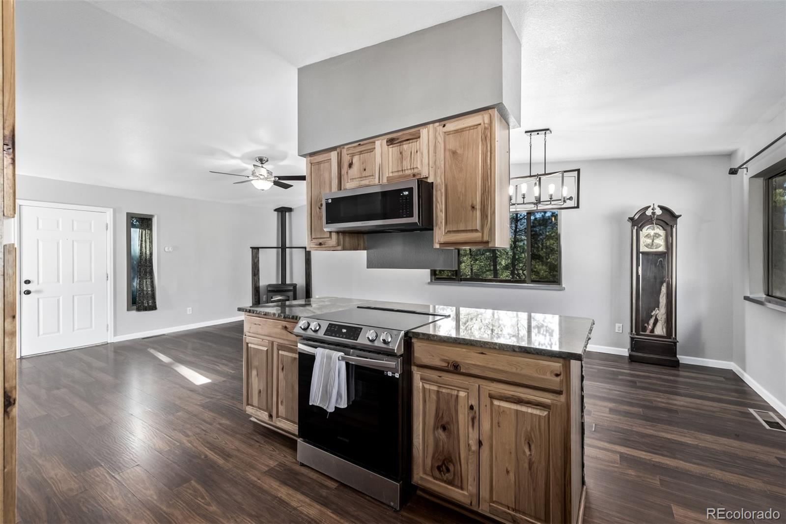 MLS Image #16 for 20  parkview ,bailey, Colorado