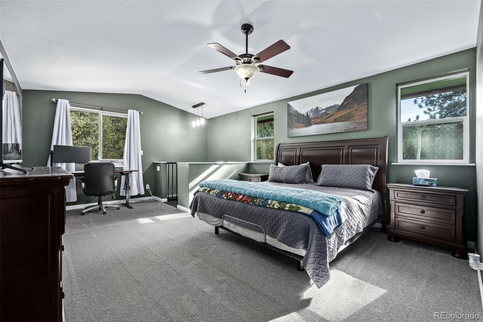 MLS Image #25 for 20  parkview ,bailey, Colorado