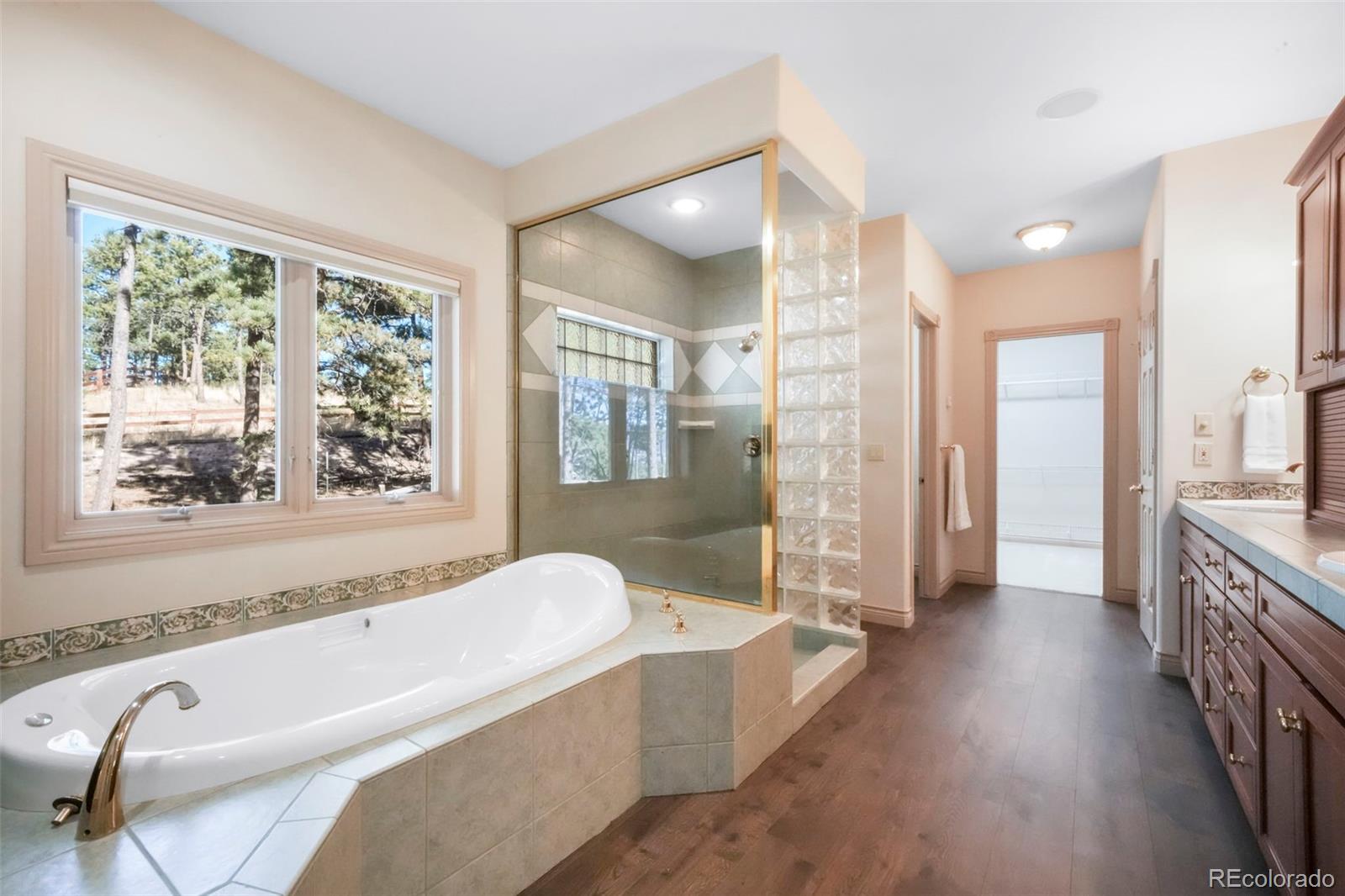 MLS Image #28 for 16150  cliffrock court,colorado springs, Colorado
