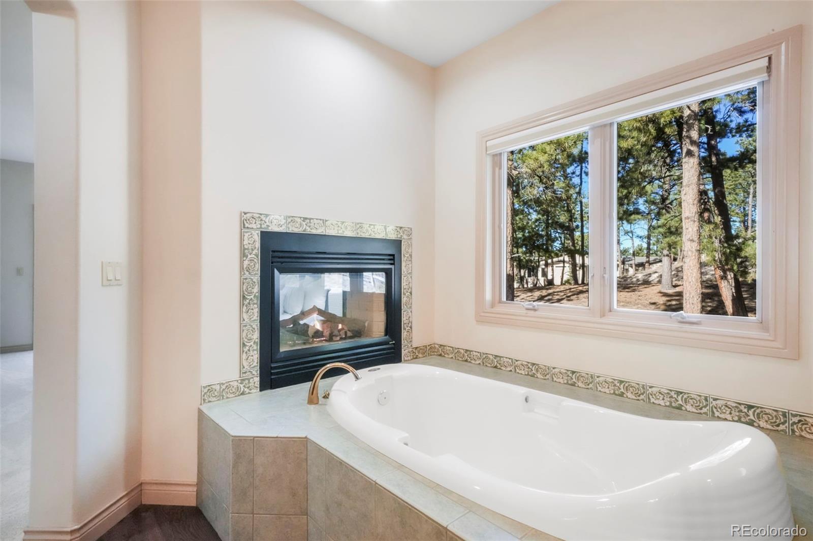 MLS Image #30 for 16150  cliffrock court,colorado springs, Colorado