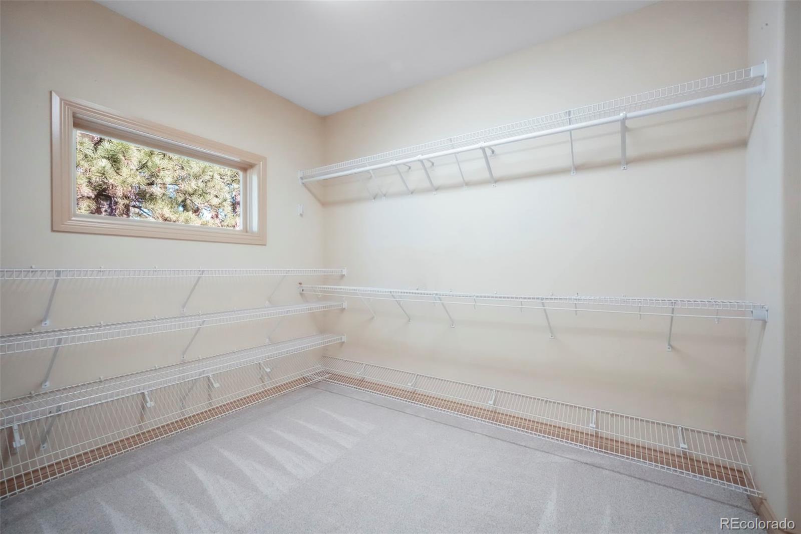 MLS Image #31 for 16150  cliffrock court,colorado springs, Colorado