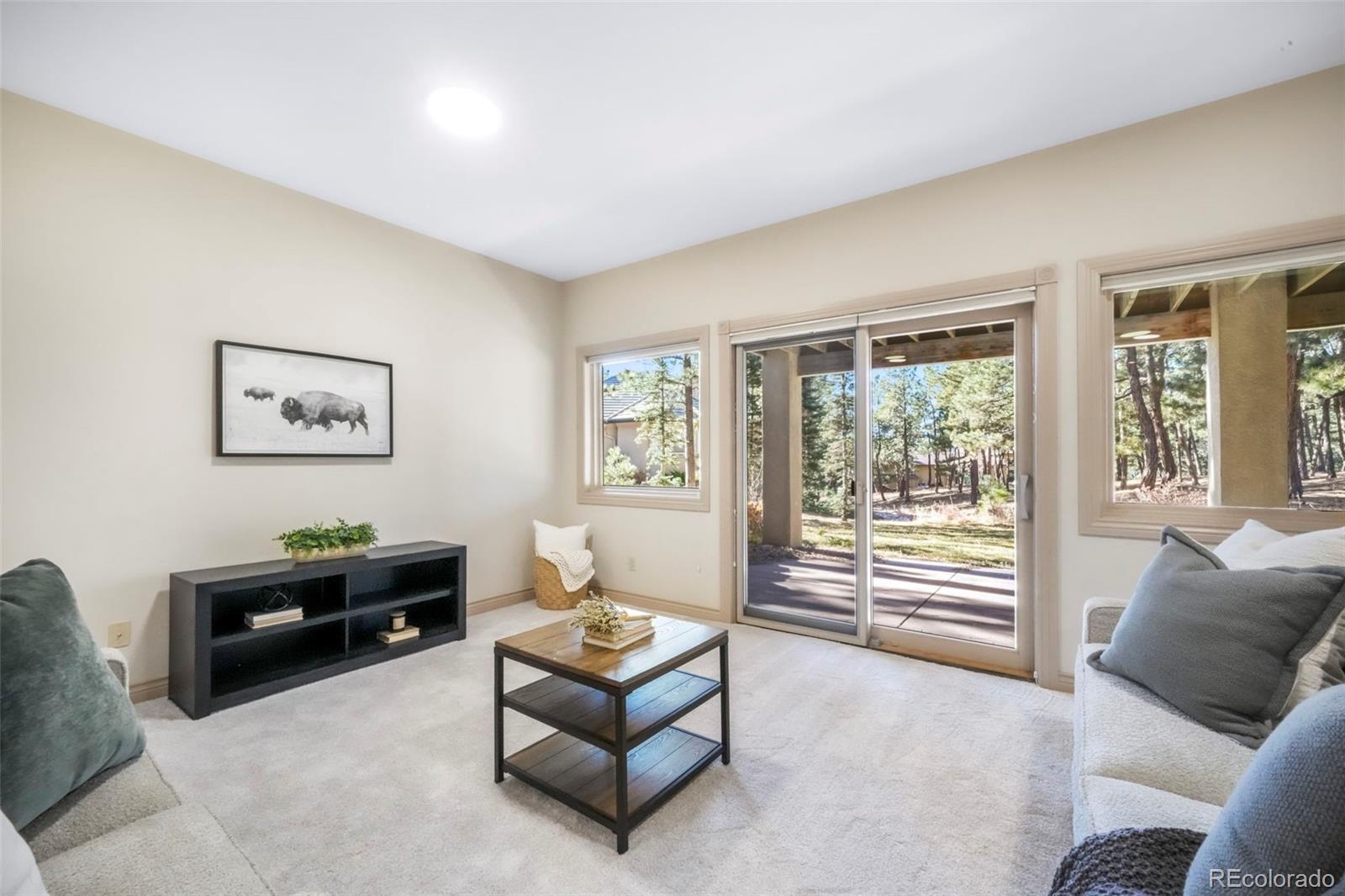 MLS Image #40 for 16150  cliffrock court,colorado springs, Colorado