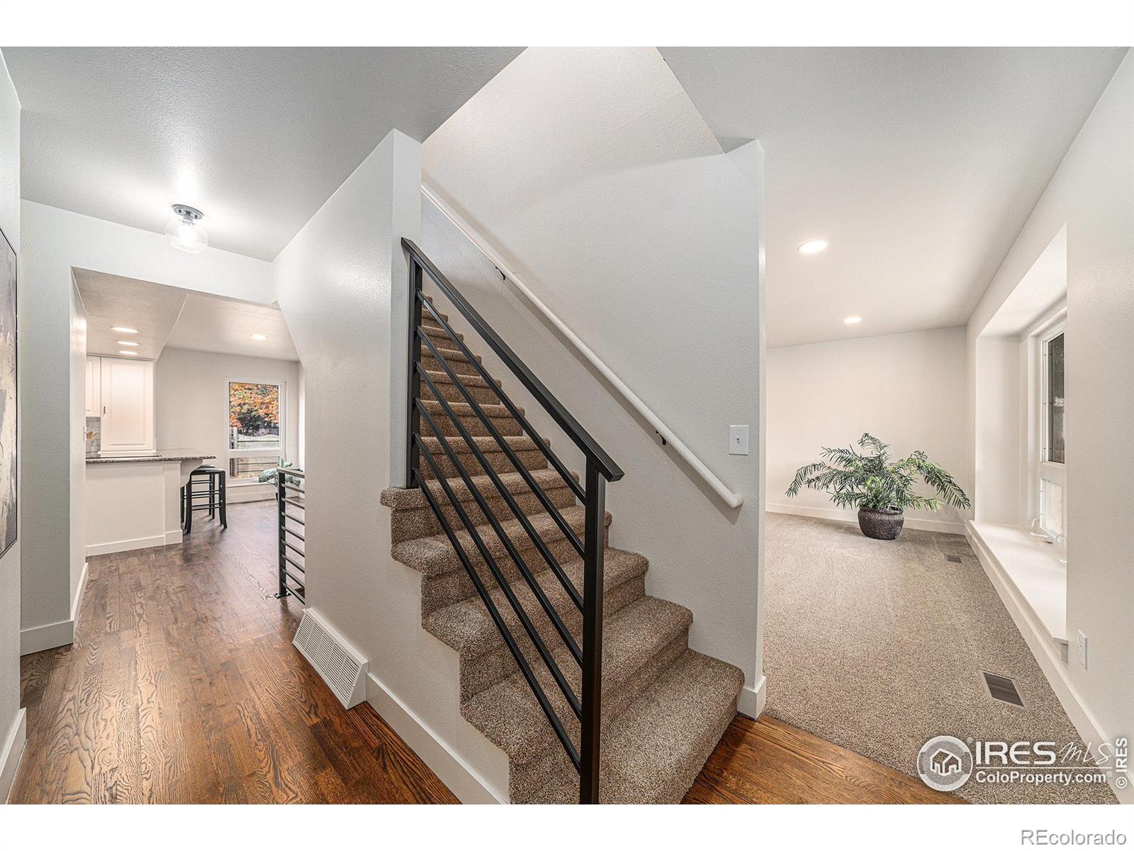 MLS Image #19 for 3207  greenwood court,fort collins, Colorado