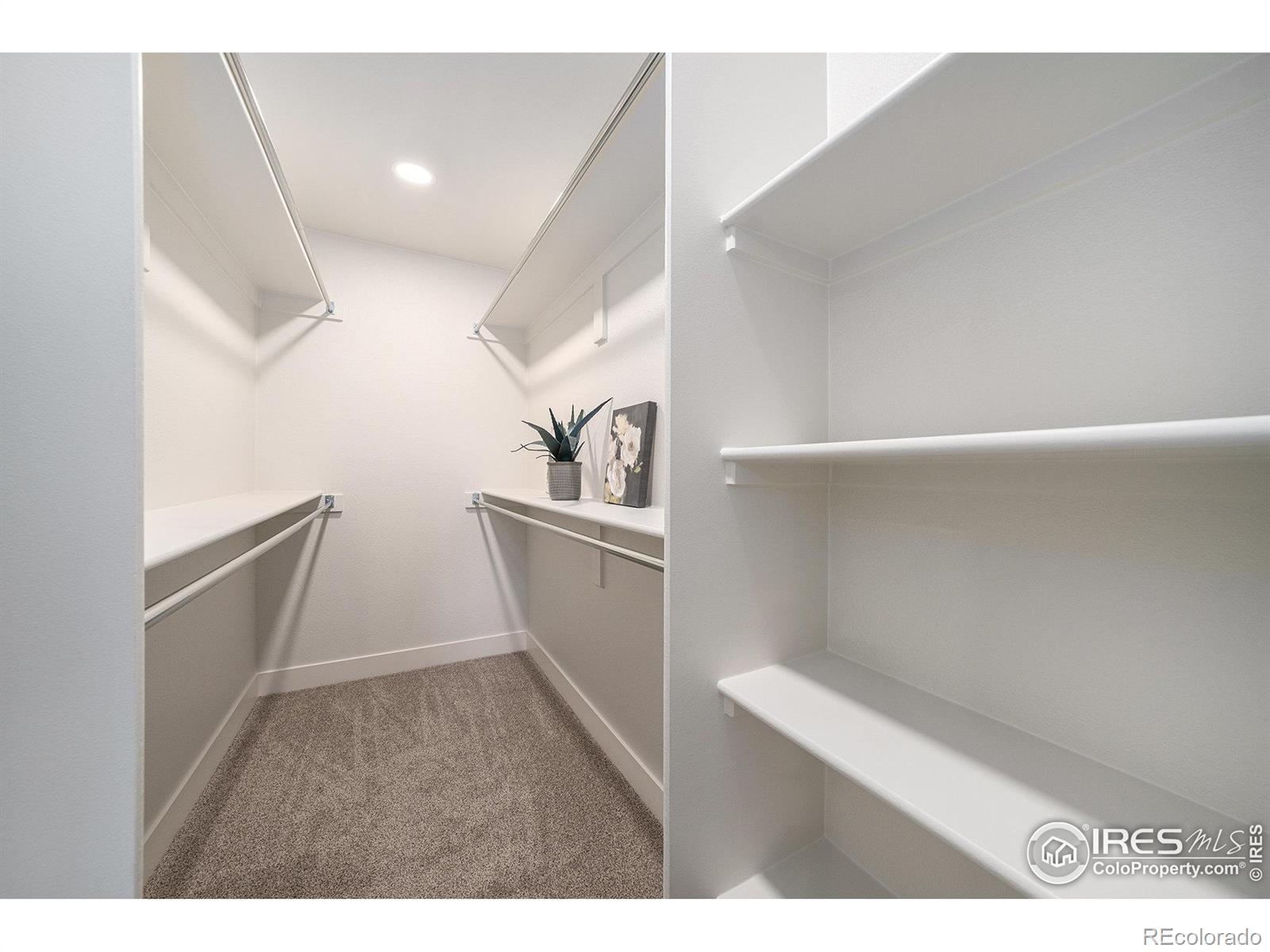 MLS Image #28 for 3207  greenwood court,fort collins, Colorado