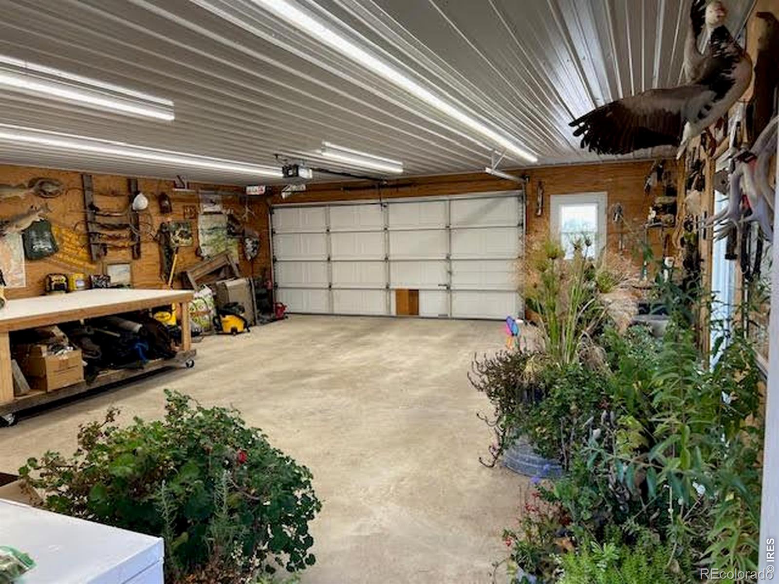 MLS Image #30 for 805  walnut street,windsor, Colorado