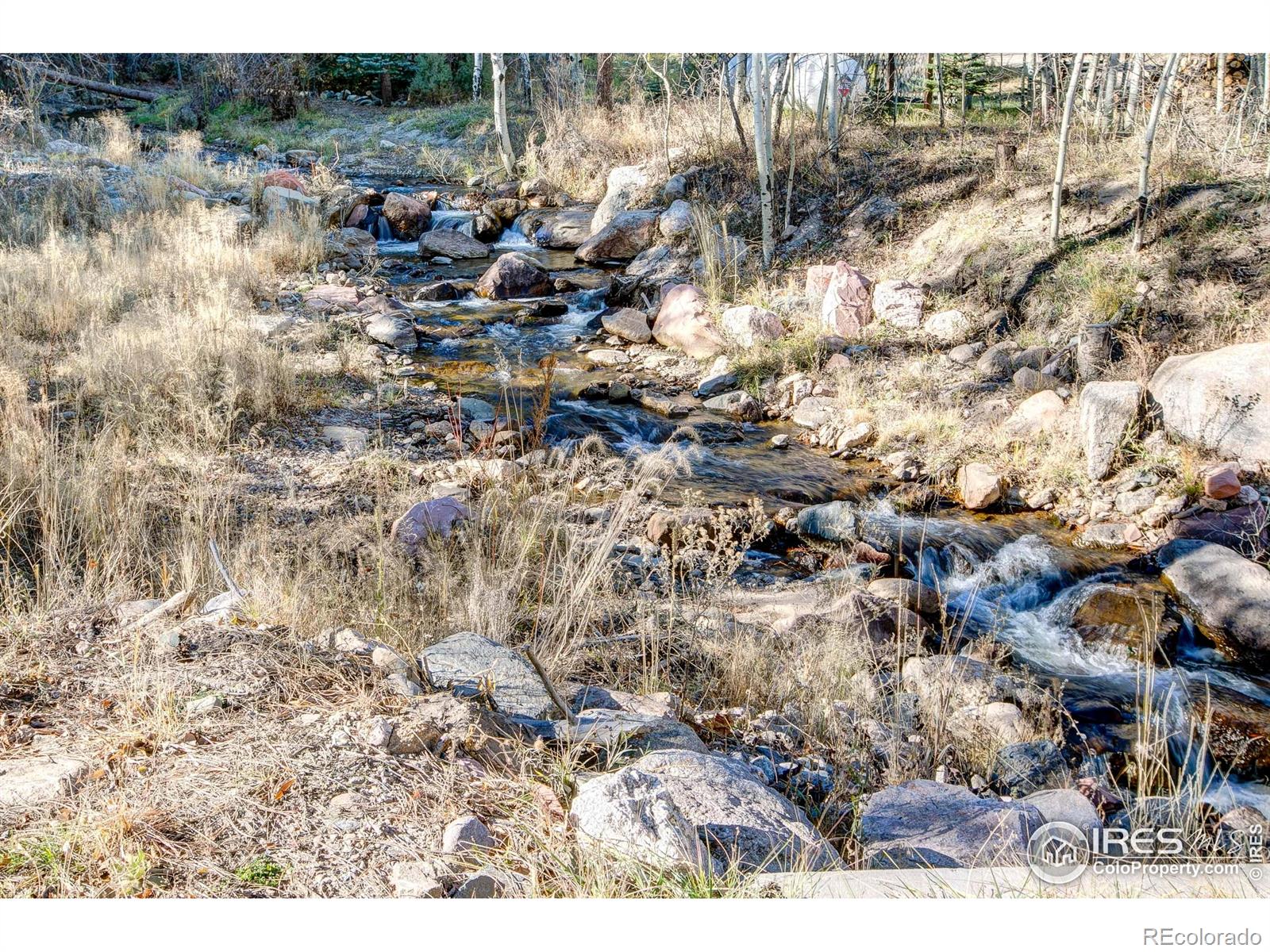 MLS Image #25 for 227  streamside drive,glen haven, Colorado