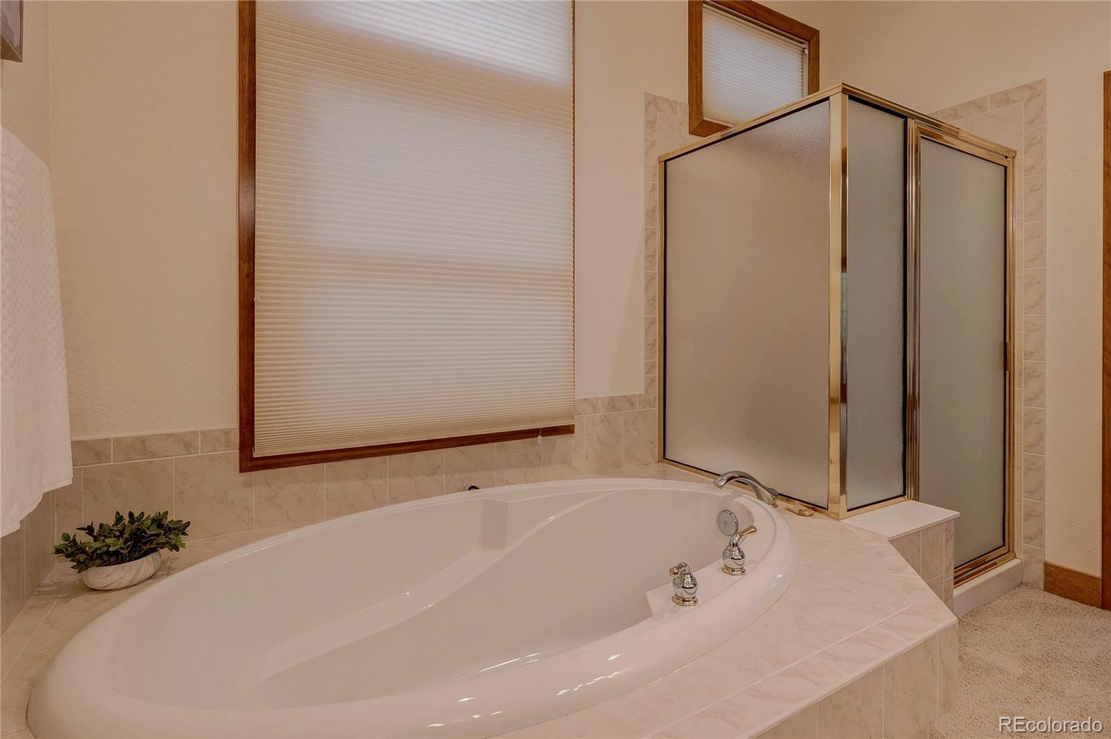 MLS Image #21 for 7049  forest ridge circle,castle pines, Colorado