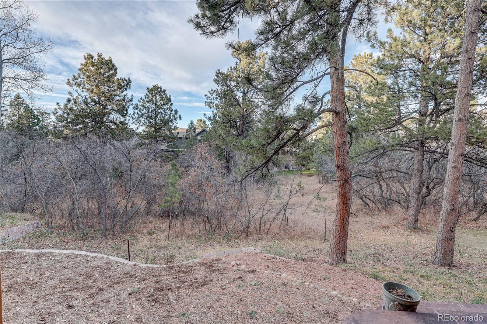 MLS Image #36 for 7049  forest ridge circle,castle pines, Colorado