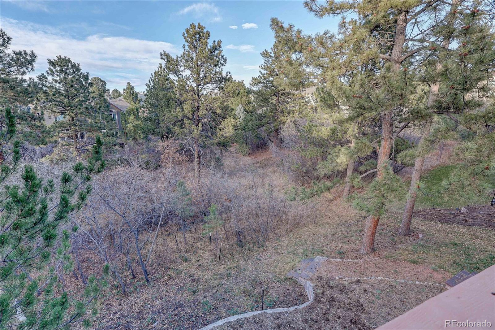 MLS Image #4 for 7049  forest ridge circle,castle pines, Colorado