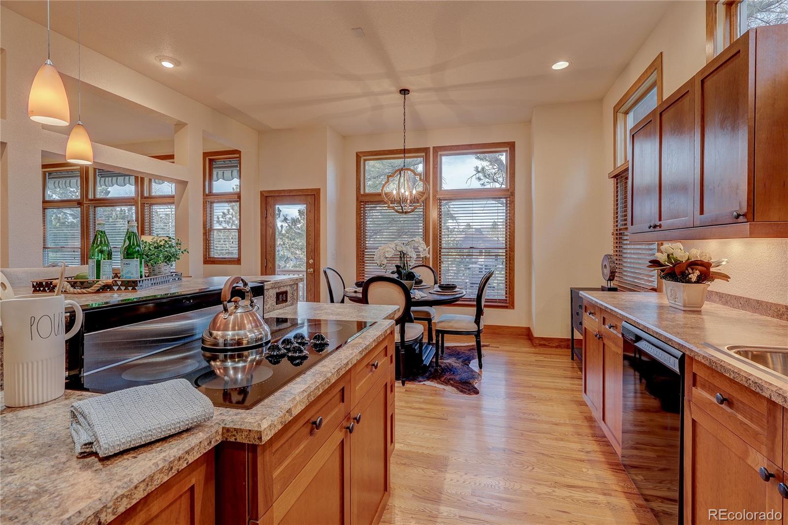 MLS Image #7 for 7049  forest ridge circle,castle pines, Colorado