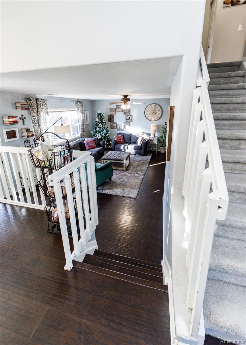 MLS Image #17 for 343  chelsea street,castle rock, Colorado