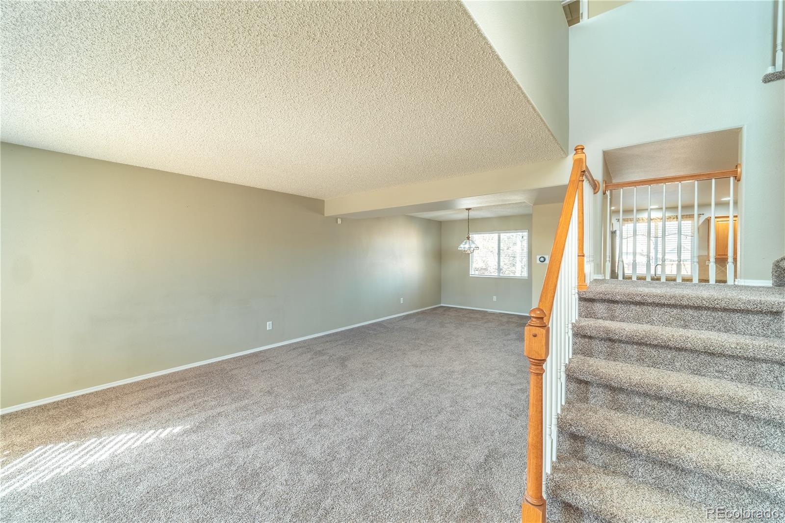 MLS Image #19 for 5536  pioneer mesa drive,colorado springs, Colorado