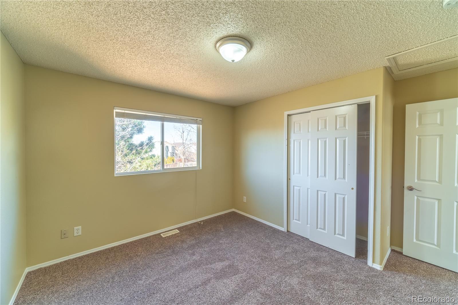 MLS Image #8 for 5536  pioneer mesa drive,colorado springs, Colorado