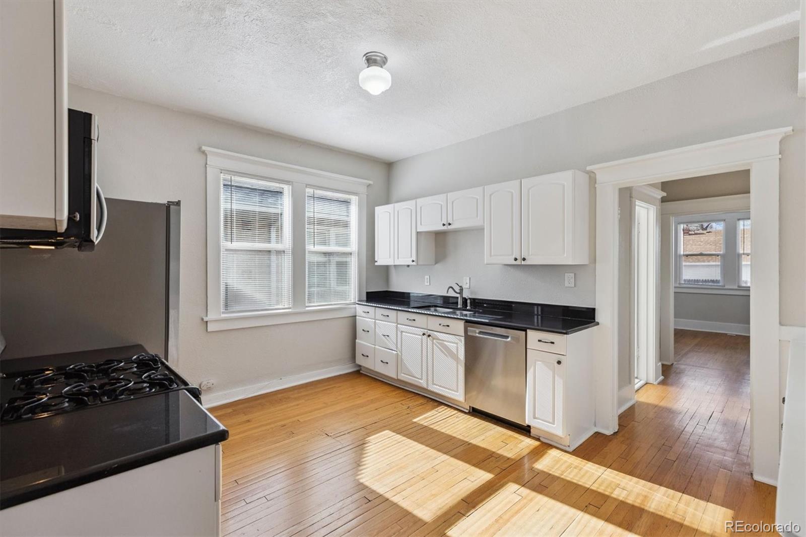 MLS Image #5 for 1411-1419  meade street,denver, Colorado