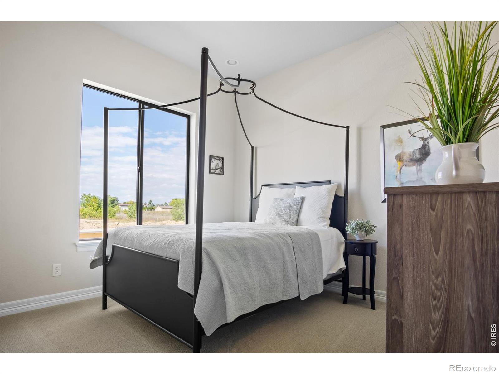 MLS Image #15 for 206  blue fortune drive,windsor, Colorado