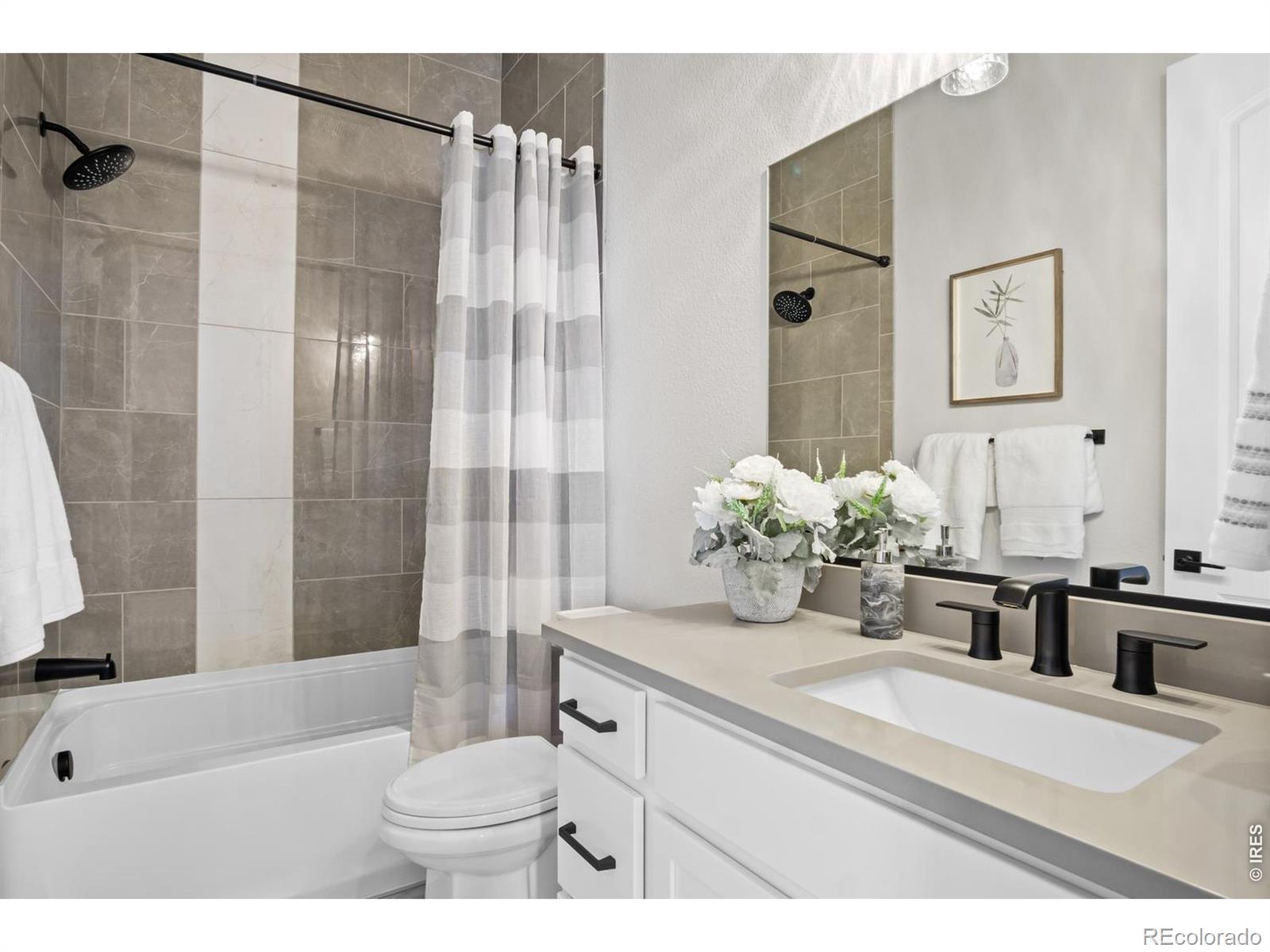 MLS Image #16 for 206  blue fortune drive,windsor, Colorado