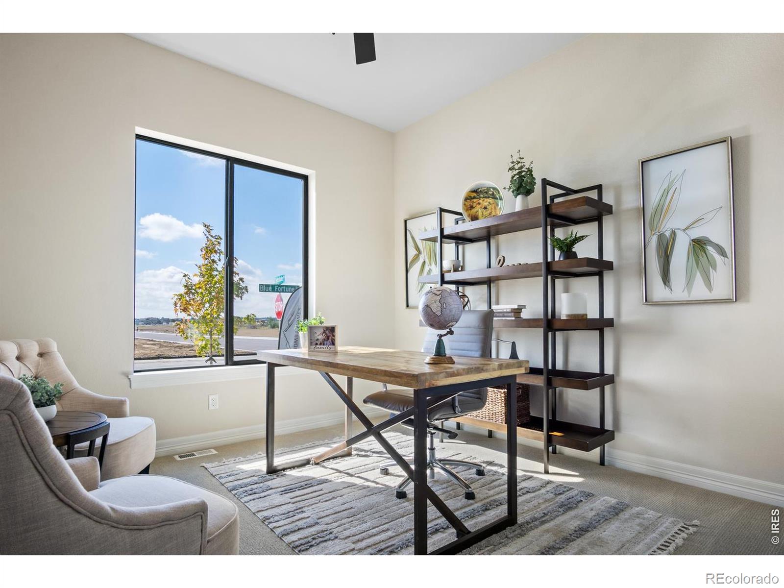MLS Image #17 for 206  blue fortune drive,windsor, Colorado