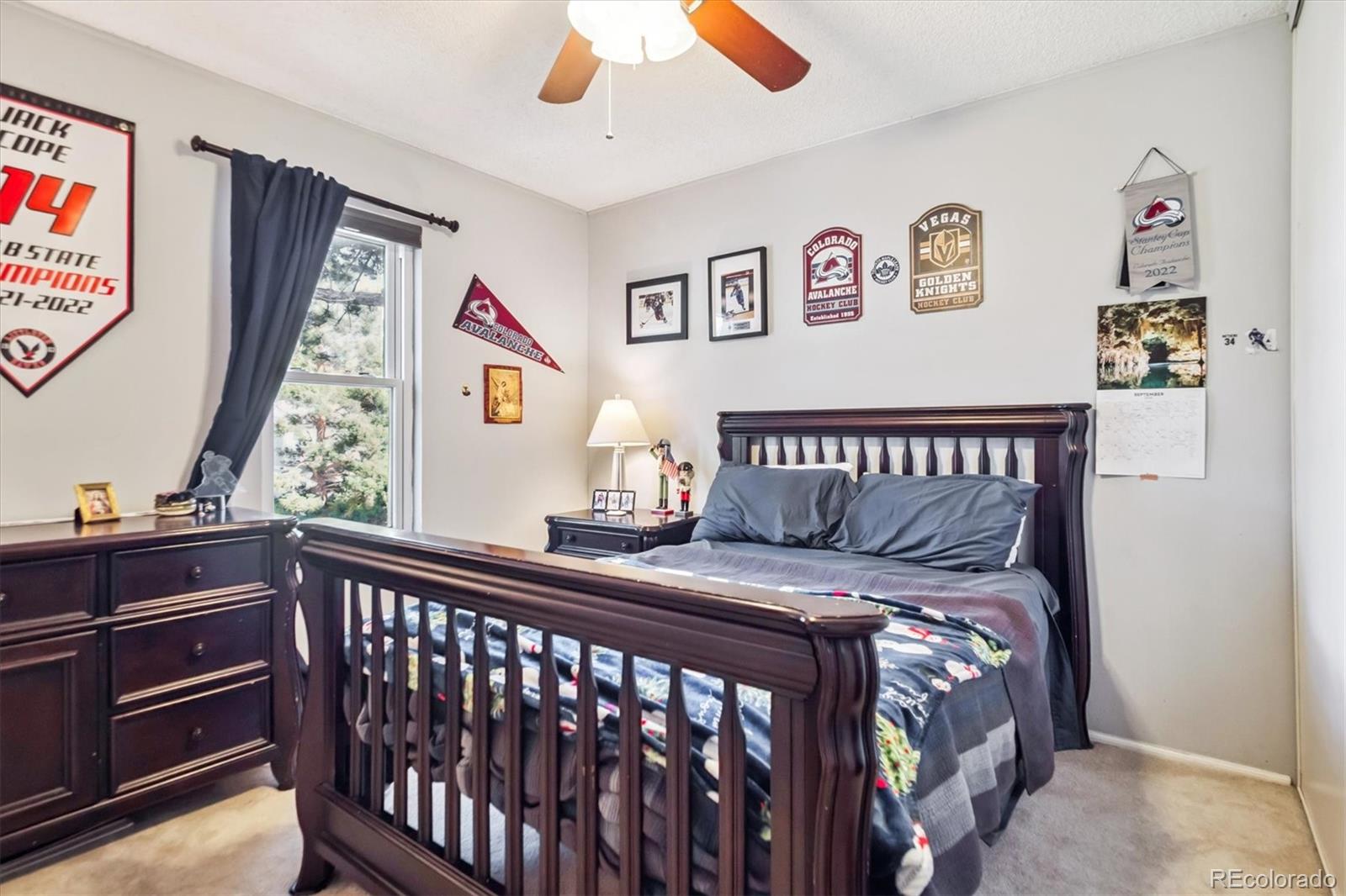 MLS Image #19 for 12516 w temple drive,morrison, Colorado