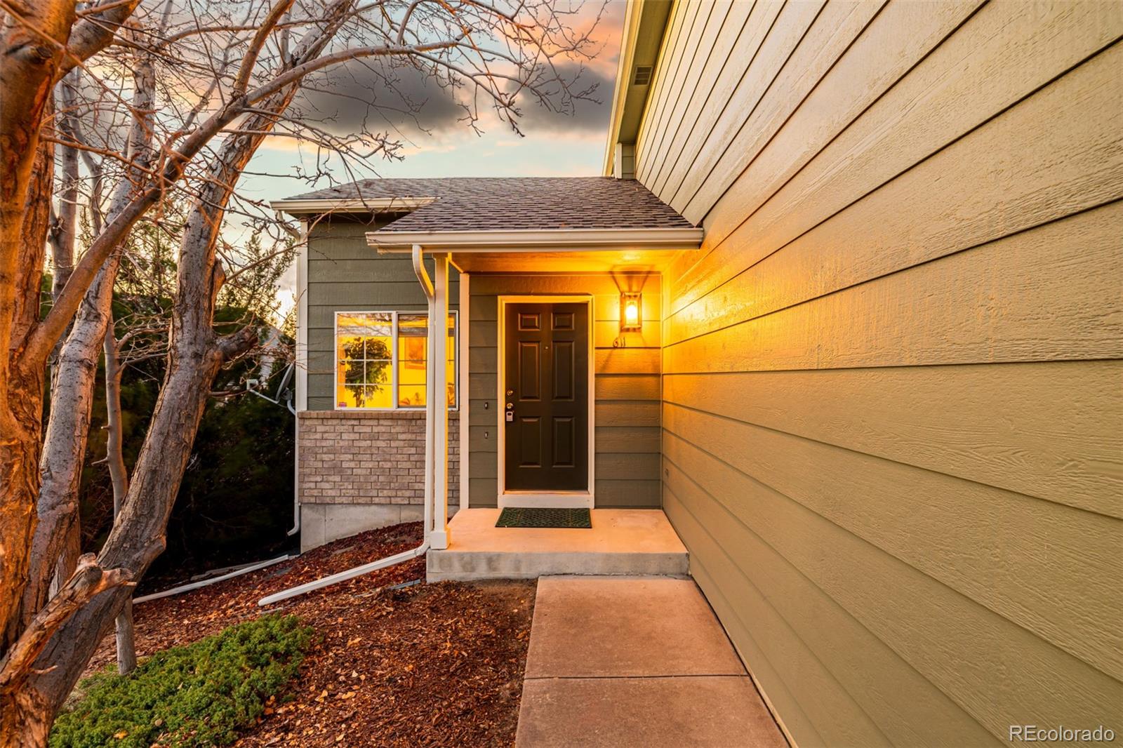 MLS Image #1 for 611  branding iron lane,castle rock, Colorado