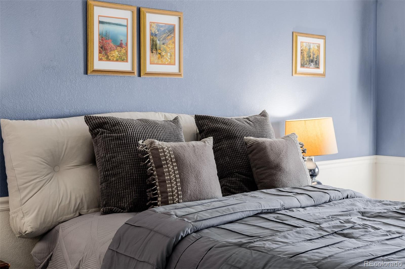 MLS Image #25 for 611  branding iron lane,castle rock, Colorado