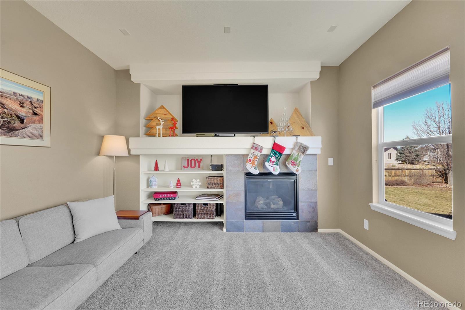 MLS Image #10 for 412  high plains street,castle rock, Colorado