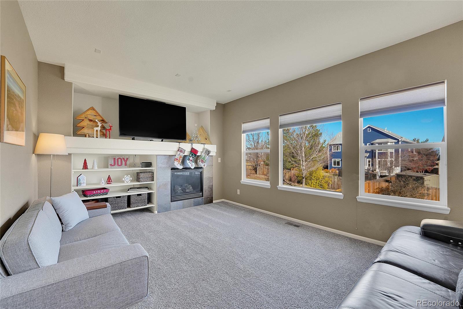MLS Image #12 for 412  high plains street,castle rock, Colorado