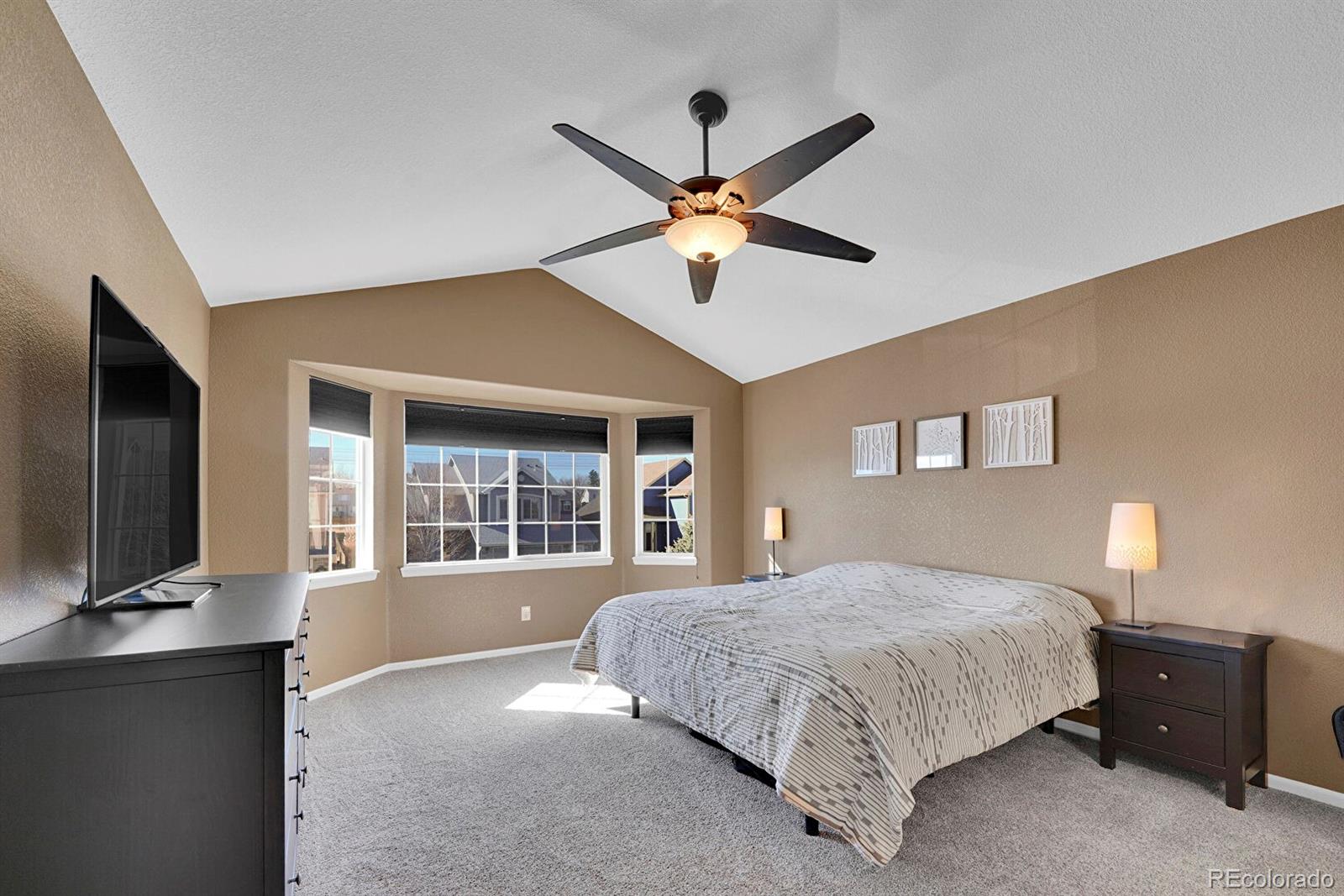 MLS Image #15 for 412  high plains street,castle rock, Colorado