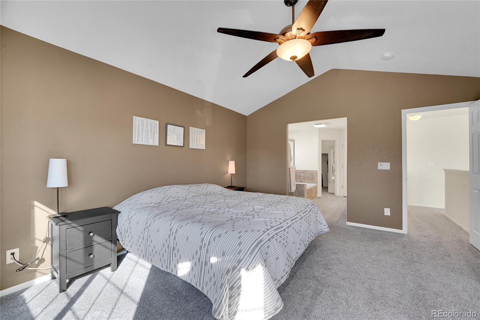 MLS Image #16 for 412  high plains street,castle rock, Colorado