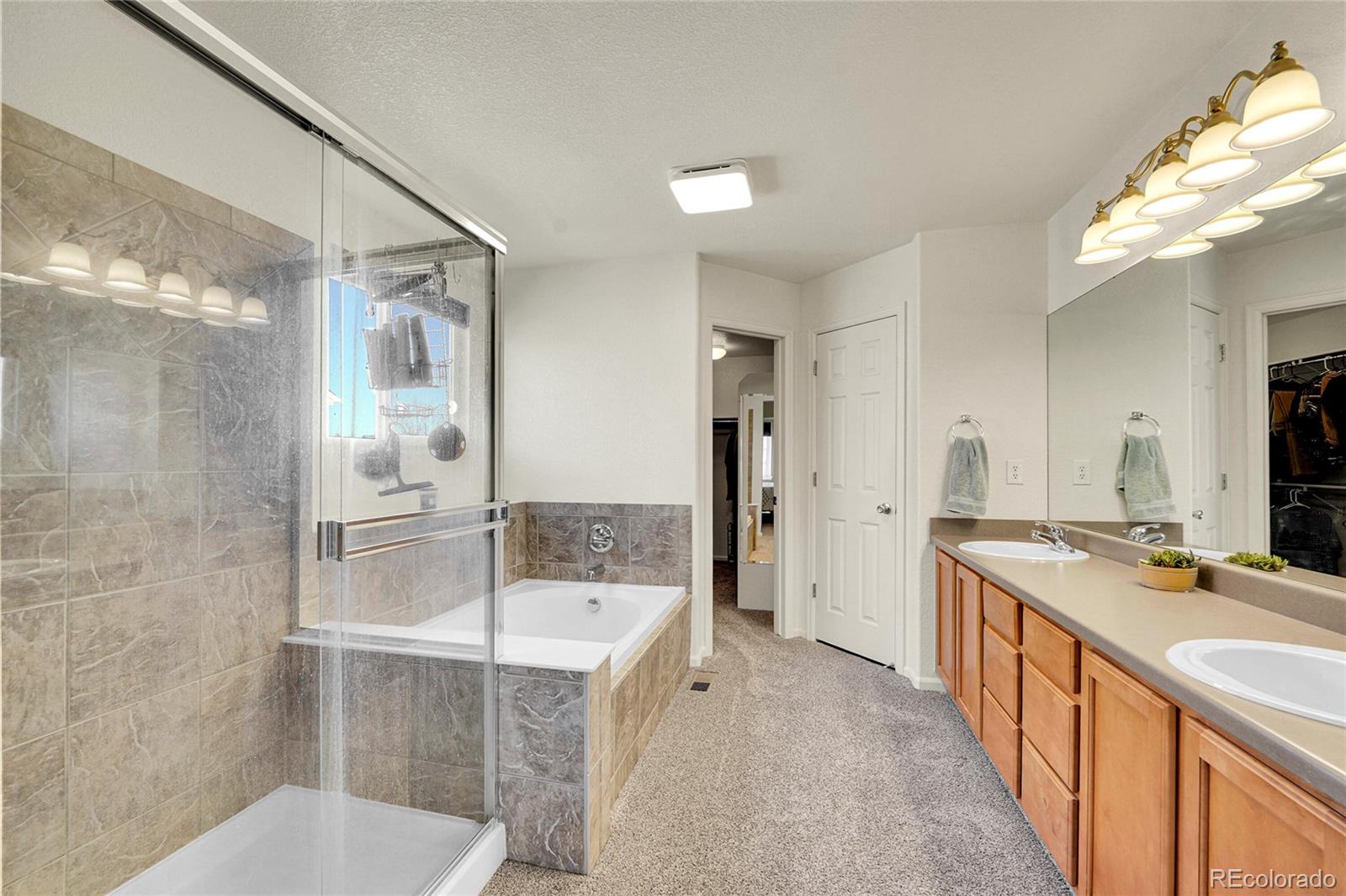 MLS Image #18 for 412  high plains street,castle rock, Colorado
