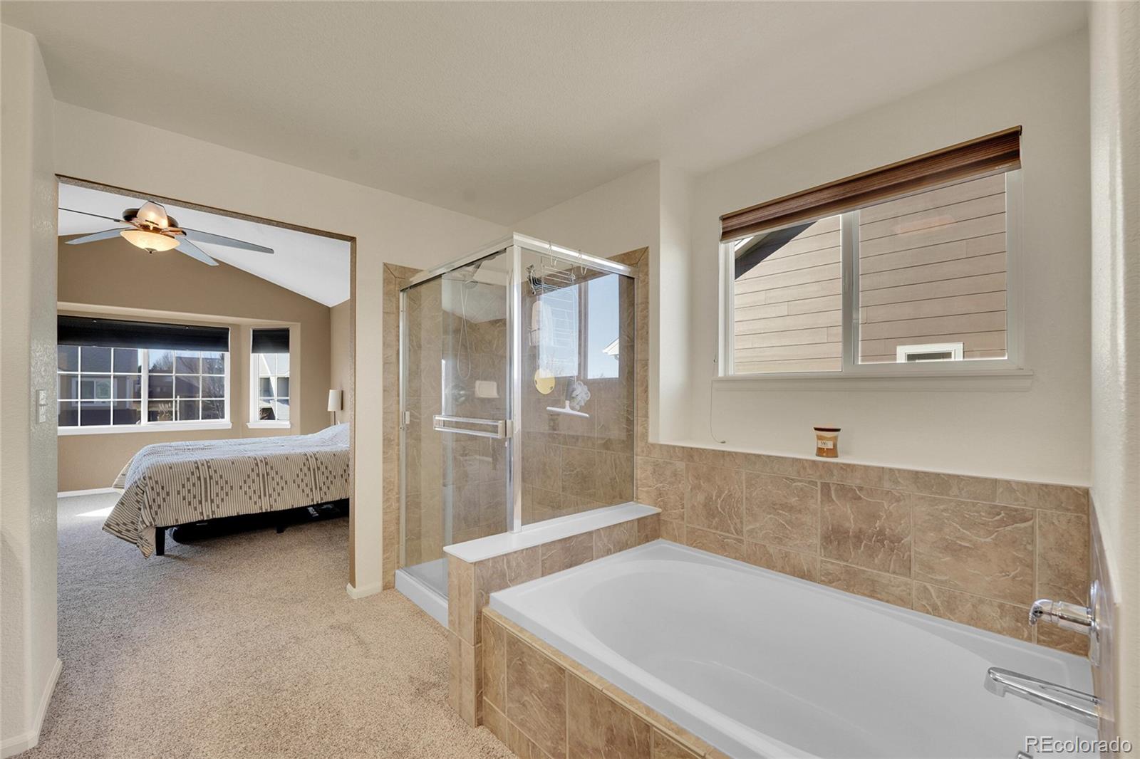 MLS Image #19 for 412  high plains street,castle rock, Colorado